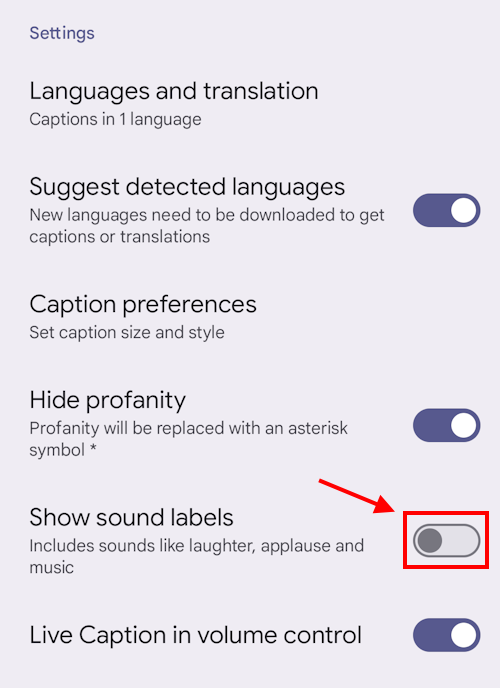 tap the toggle switch for Show sound labels to turn it on.